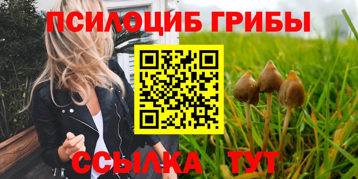 Галлюциногенные грибы Psilocybe  Вход с VPN  Арзамас 